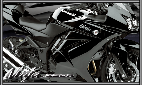 Photo Motor Ninja 250 Rr